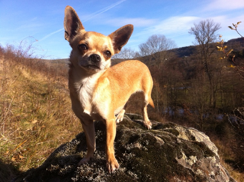 Faustine des Mini Pouces