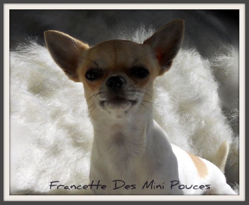 Francette des Mini Pouces