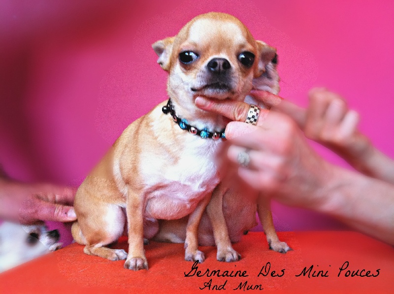 Germaine des Mini Pouces