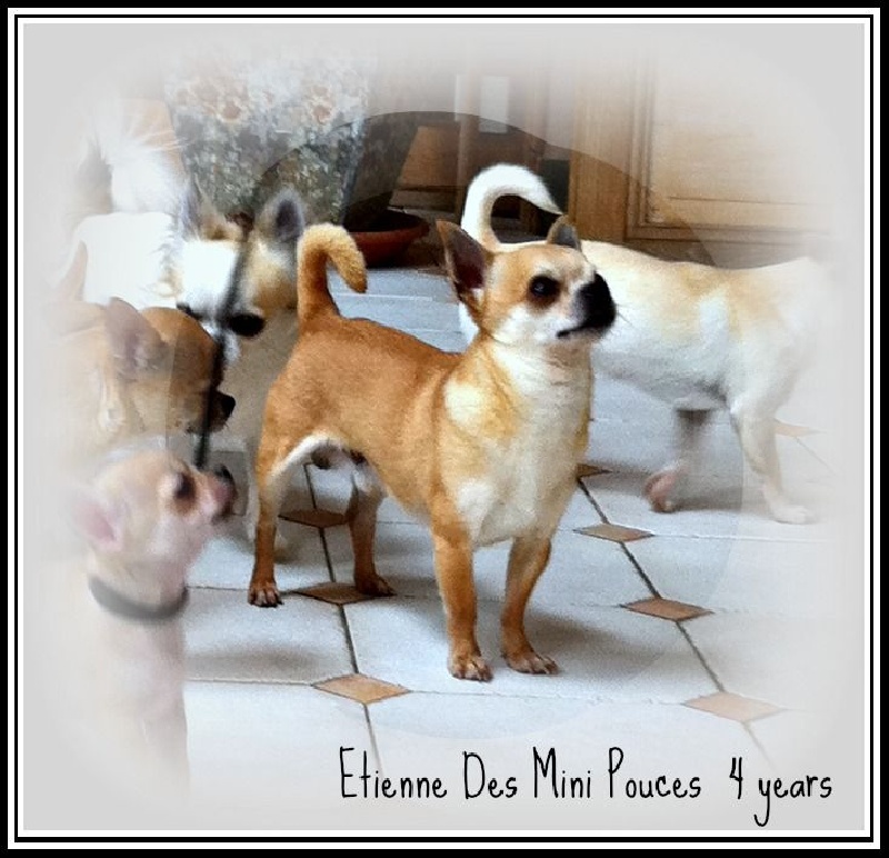 Etienne des Mini Pouces