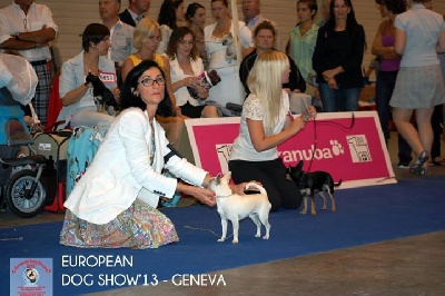 EURODOG SHOW 3eme place pour Honoré Des Mini Pouces